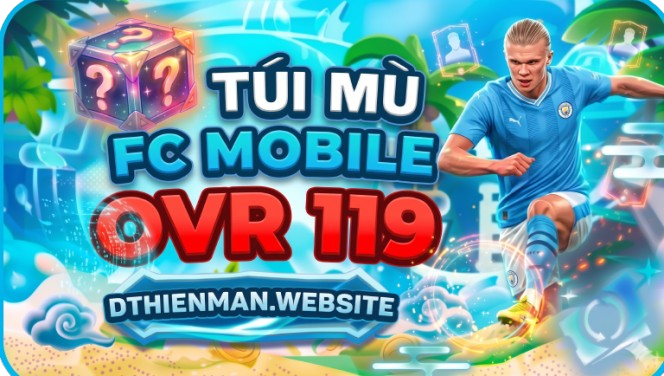 TÚI MÙ TRÊN OVR 119